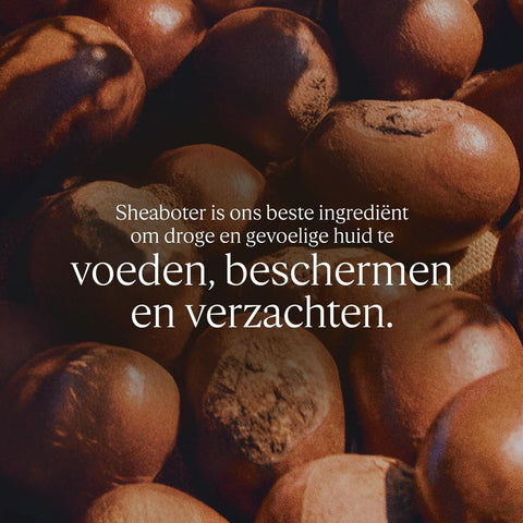 V2H57CBBF72902B895D5072FD548F744CFCR7662721P3