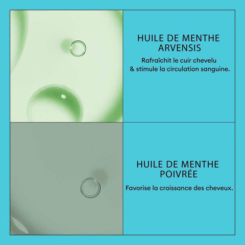 V3H01C70D53BE66C32C9A0B15854B21BC6BR7509603P4